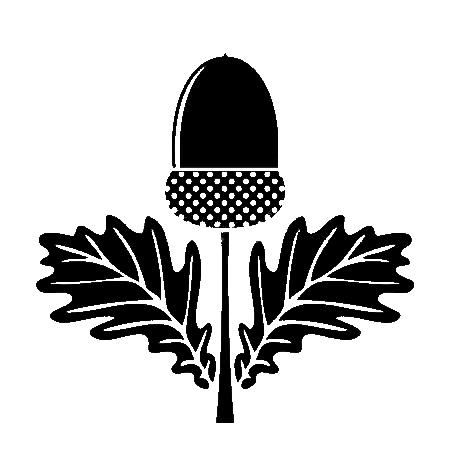Ravin Logo
